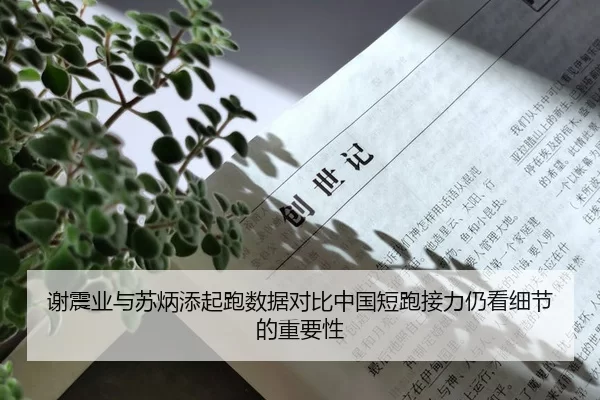 谢震业与苏炳添起跑数据对比中国短跑接力仍看细节的重要性